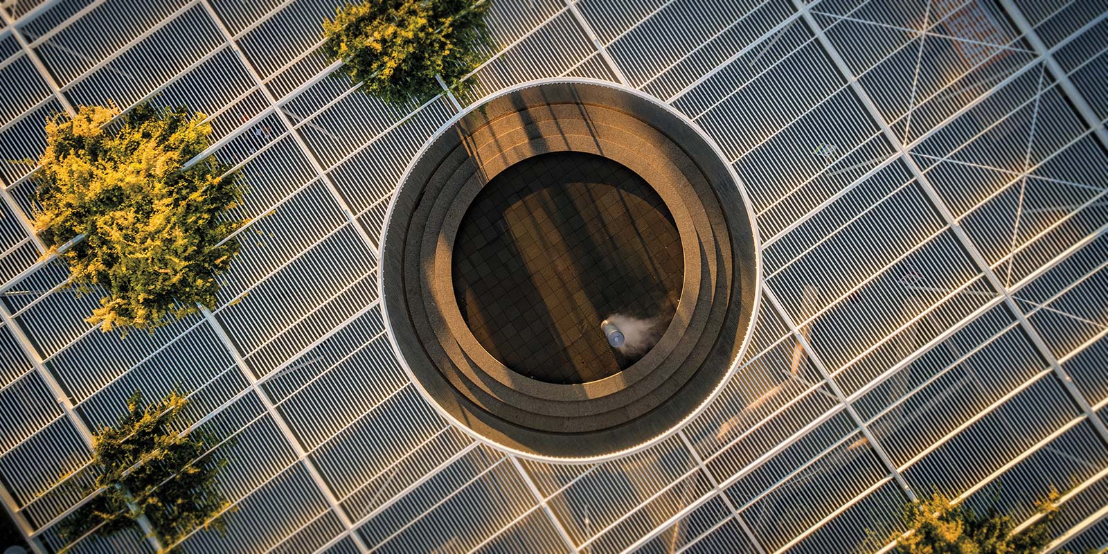 top view of campus trellis